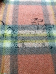 20171118_185407117 a