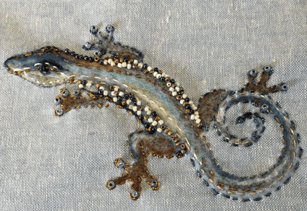 salamander-vilten-IMG_3492-web-wp